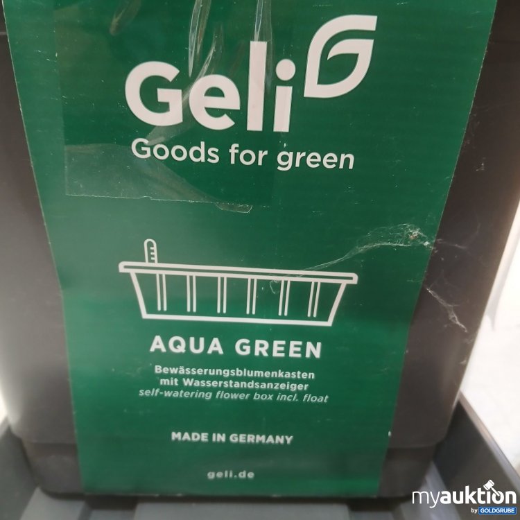 Artikel Nr. 464620 Artikel Nr. 464620: Geli 2x Aqua Green Bewässerungsblumenkasten
