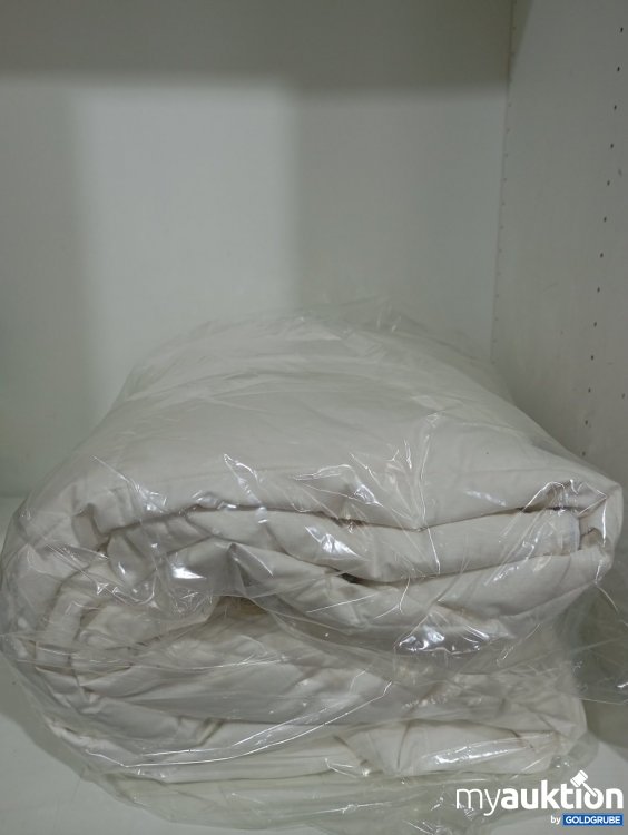 Artikel Nr. 471622 Artikel Nr. 471622: sleeping Basic Daunendecke leicht 200 x 200 cm Art.-Nr. 19000004631