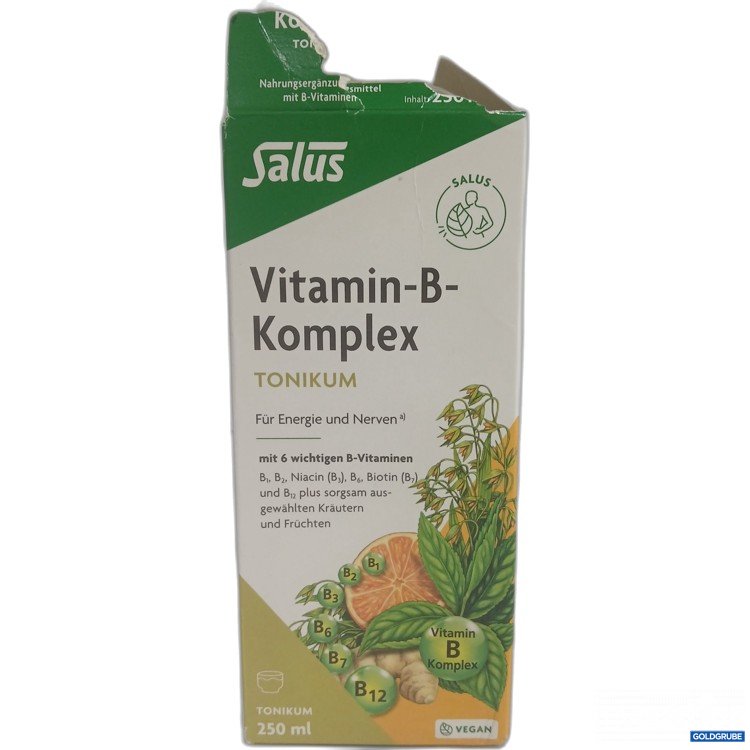 Artikel Nr. 996624 Artikel Nr. 996624: Salus Vitamin B Komplex Tonikum 250ml