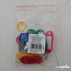 Auktion Farbige Schlüsselanhänger-Set