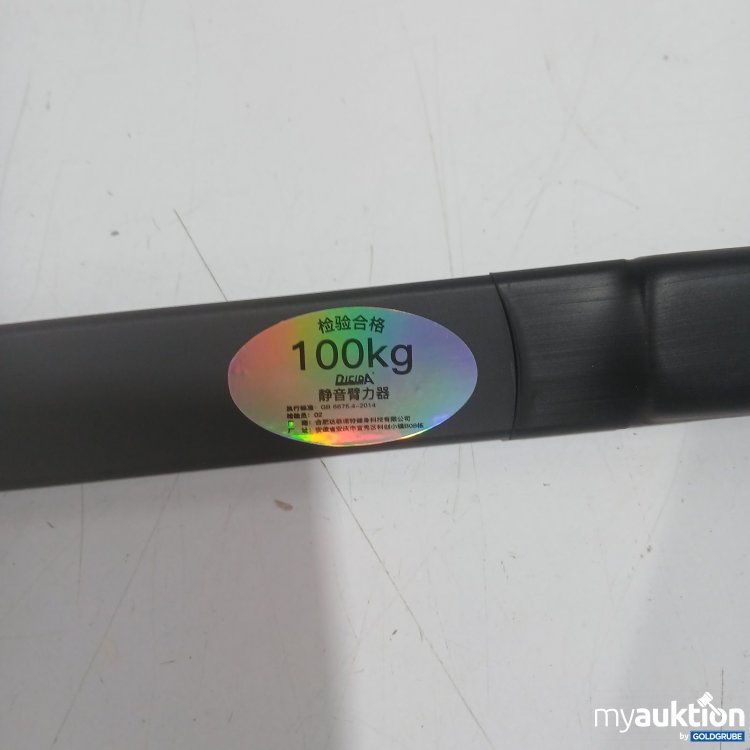 Artikel Nr. 477627: Dielpa Zugkraftmesser 100 kg