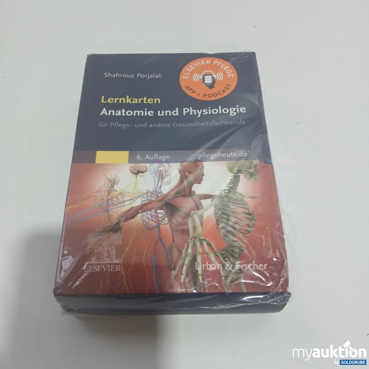 Artikel Nr. 861632: Lernkarten Anatomie und Physiologie 