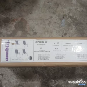Auktion Garden ambia Castiglione 4er Set silberfarben/schwarz 26720145-02