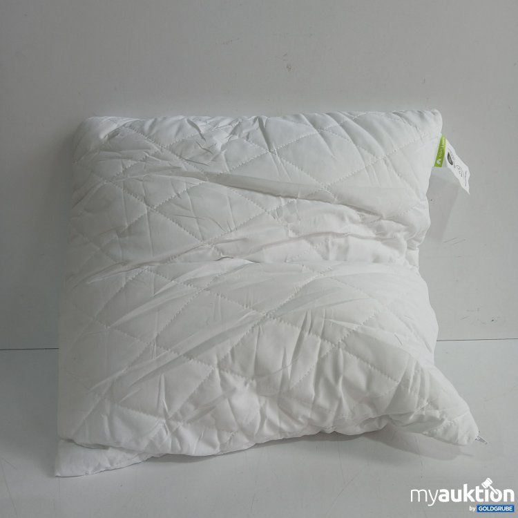 Artikel Nr. 972639 Artikel Nr. 972639: Oeko Tex Standard 100 Kissen ca. 50x50cm
