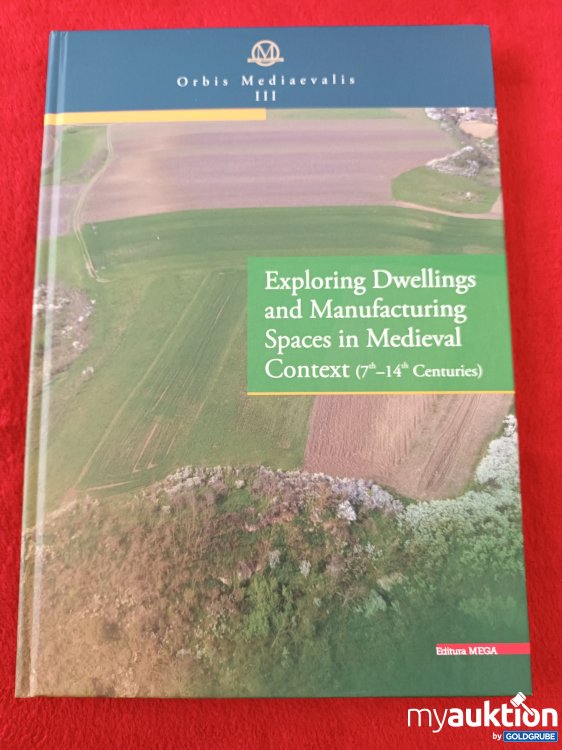 Artikel Nr. 923645: Exploring Dwellings and Manufacturing Spaces in Medieval Context