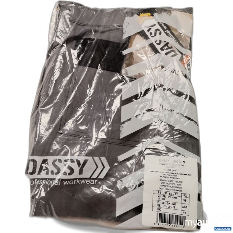 Artikel Nr. 734649: Dassy Lincoln Hose 