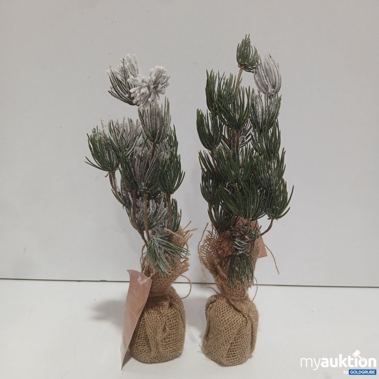 Artikel Nr. 929650 Artikel Nr. 929650: Diverse Christmas Kunstpflanzen 2Stk