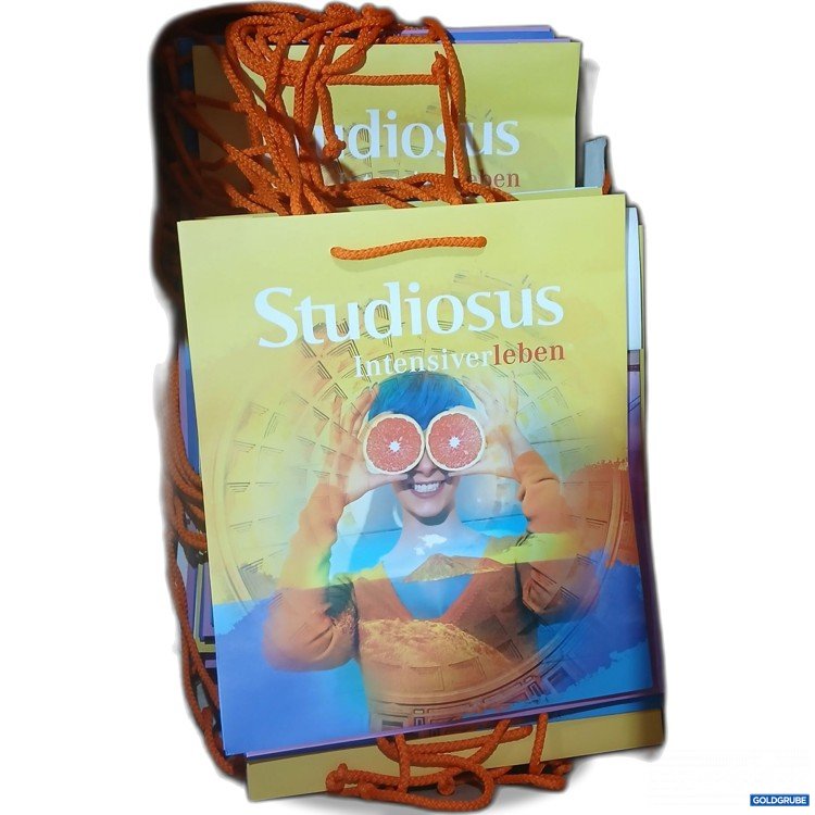 Artikel Nr. 951651 Artikel Nr. 951651: Studiosus Papier Tragetaschen