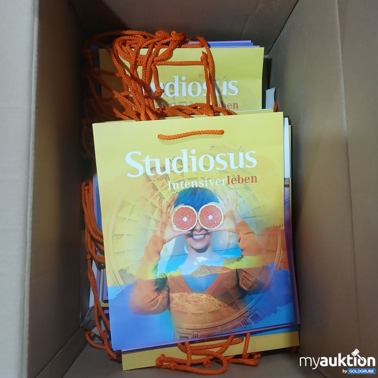 Artikel Nr. 951651 Artikel Nr. 951651: Studiosus Papier Tragetaschen