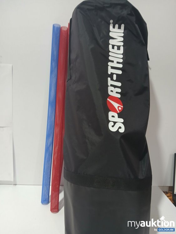 Artikel Nr. 518652 Artikel Nr. 518652: Sport-Themed Tragetasche mit Plastik Stangen