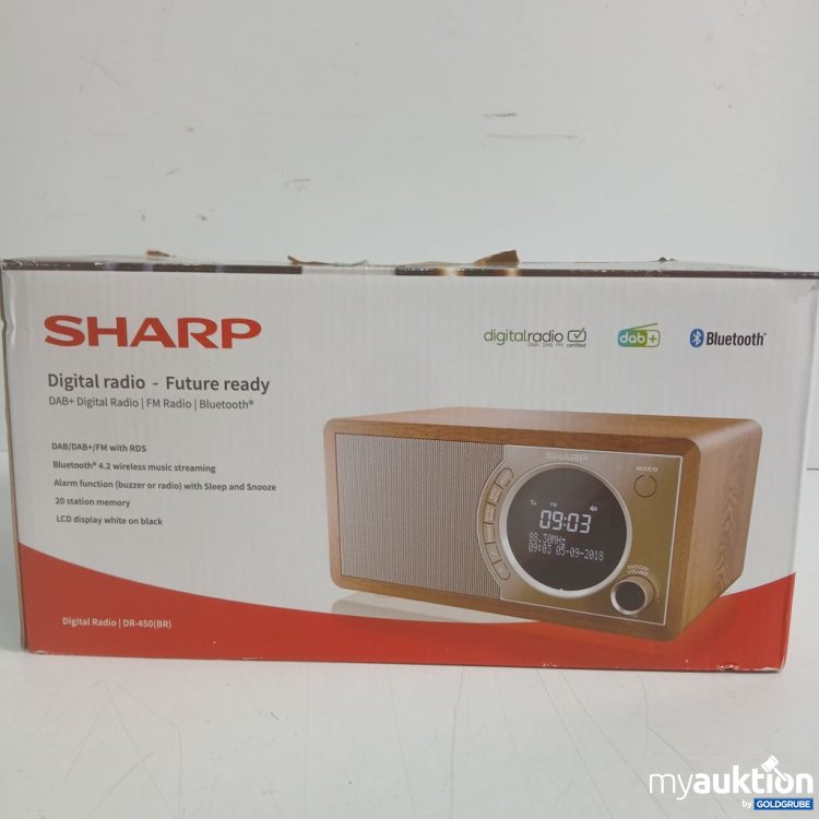 Artikel Nr. 446653: SHARP Digital Radio DR-450(BR)