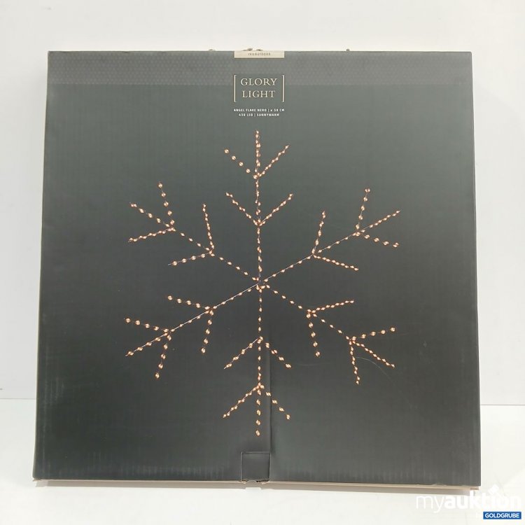 Artikel Nr. 921653: GLORY LIGHT Schneeflocke Lichterkette 5 m