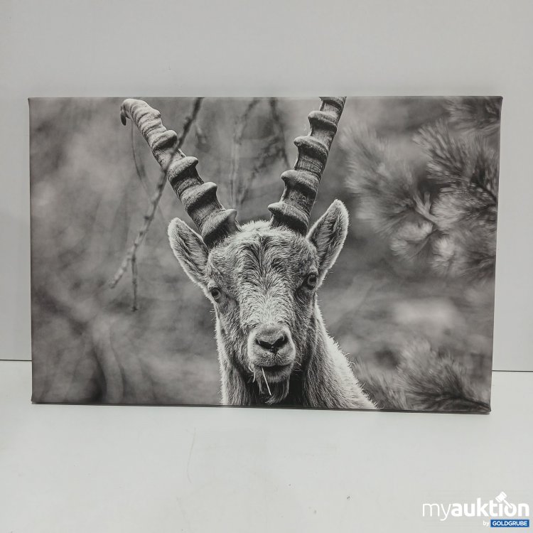 Artikel Nr. 806655 Artikel Nr. 806655: Leinwand Bild 40x60cm