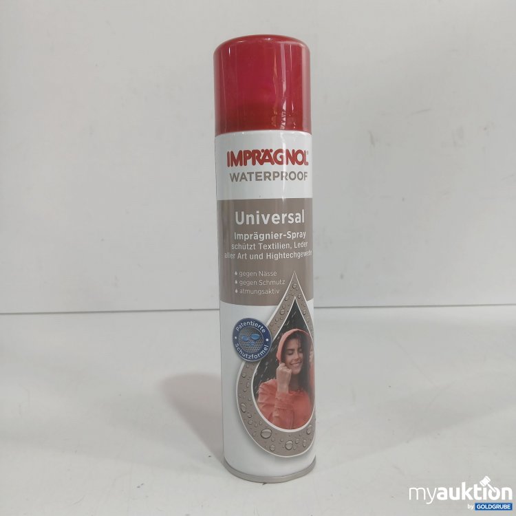 Artikel Nr. 979657 Artikel Nr. 979657: Imprägnol Watterproof Universal Imprägnier Spray 400ml