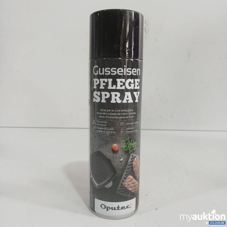 Artikel Nr. 979659 Artikel Nr. 979659: Oputec Gusseisen Pflege Spray 500ml
