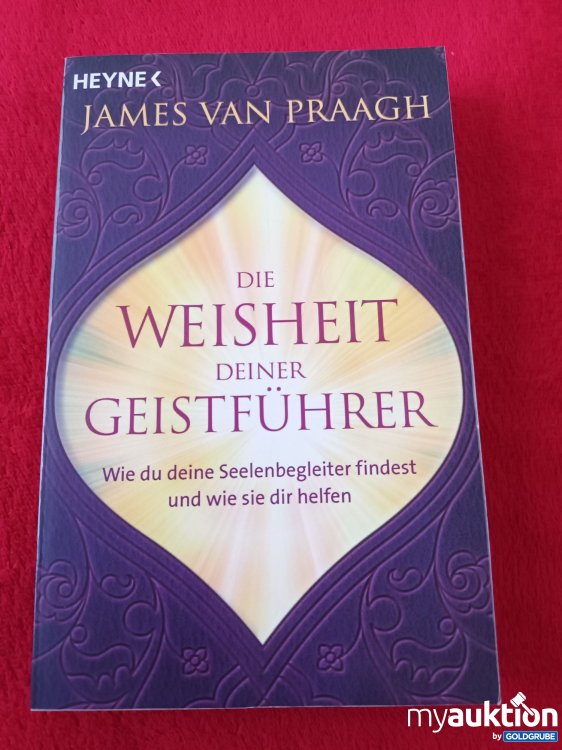 Artikel Nr. 923662: Die Weisheit deiner Geistführer