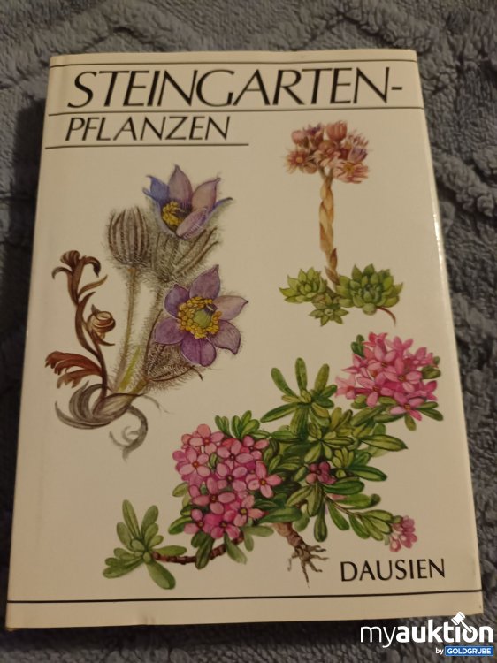 Artikel Nr. 907666: Steingarten Pflanzen 