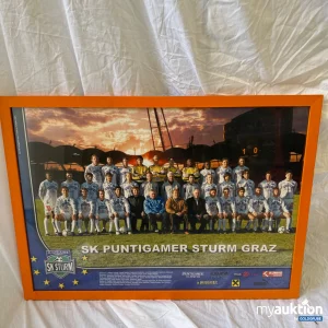 Auktion SK Sturm Mannschaftsfoto 2001