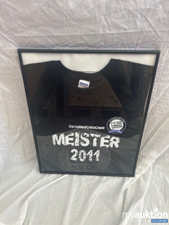 Artikel Nr. 357672: SK Sturm T-Shirt Meister 2011