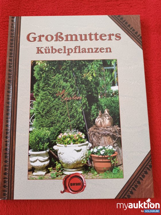 Artikel Nr. 937678: Großmutters Kübelpflanzen 