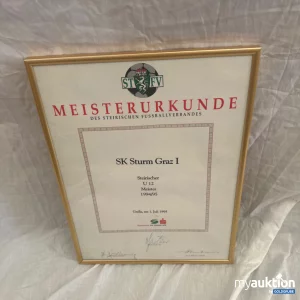 Auktion SK Sturm Meisterurkunde U12 1994/95