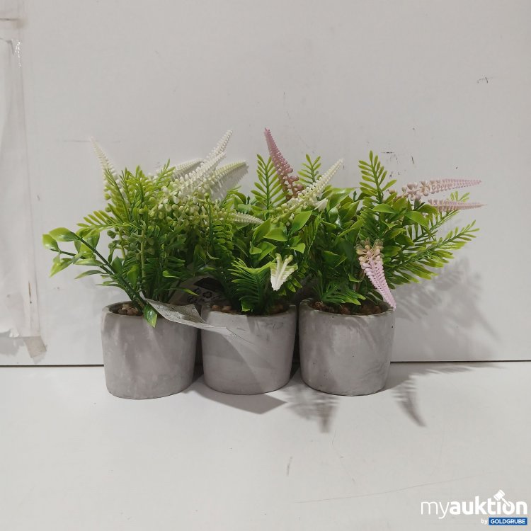 Artikel Nr. 929680: Lavender in Cementpot Künstliche Pflanze 3Stk