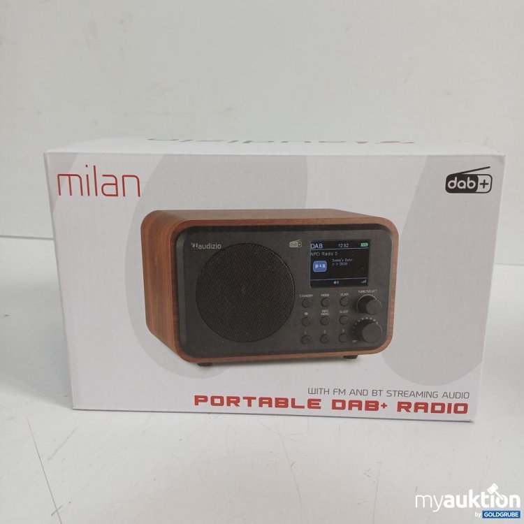 Artikel Nr. 446681 Artikel Nr. 446681: laudizio Portable DAB+ Radio