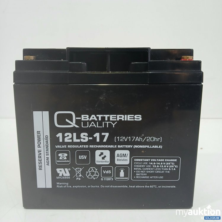 Artikel Nr. 843681 Artikel Nr. 843681: Q Batteries Quality 12LS-17