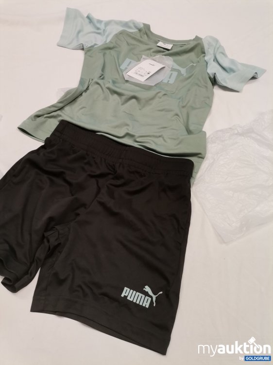 Artikel Nr. 880681 Artikel Nr. 880681: Puma 2 Teiler