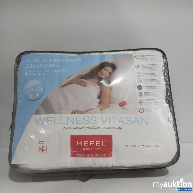 Artikel Nr. 904681: Hefel Welness Vitasan Ganzjahresdecke 140x200cm 