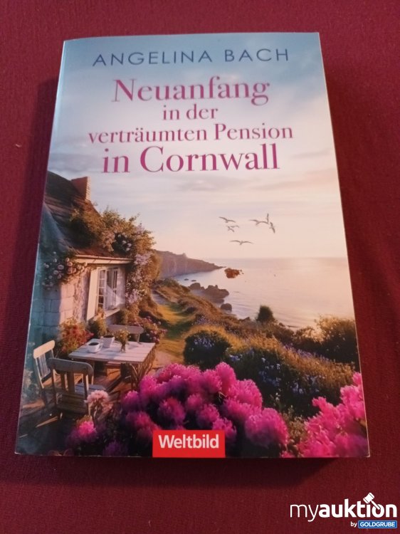 Artikel Nr. 999681 Artikel Nr. 999681: Neuanfang in der verträumten Pension in Cornwall
