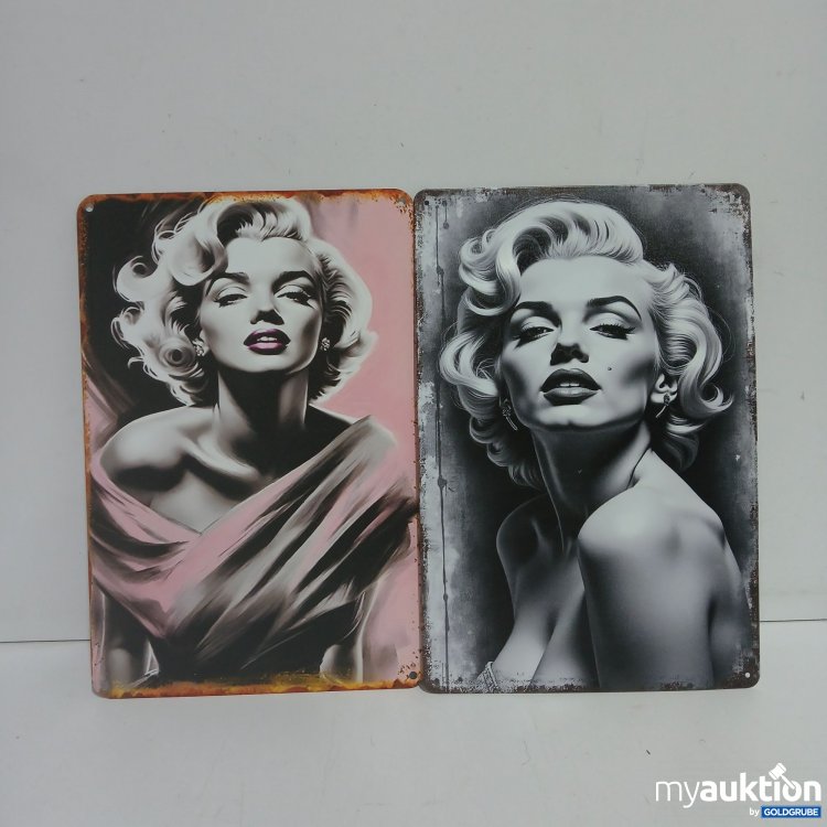 Artikel Nr. 899685: Blech Schilder ca. 30x20cm 