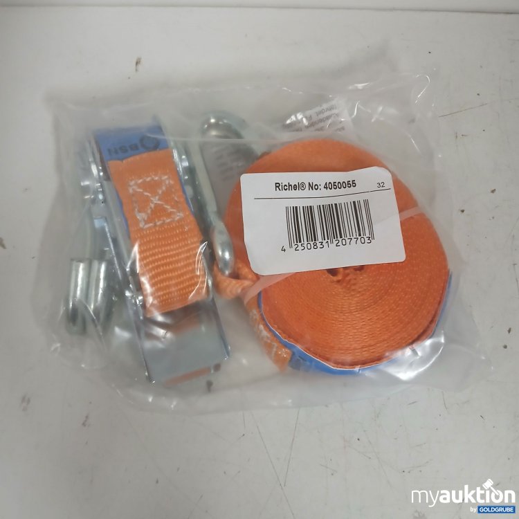 Artikel Nr. 875687: Richel Spanngurt 4050055