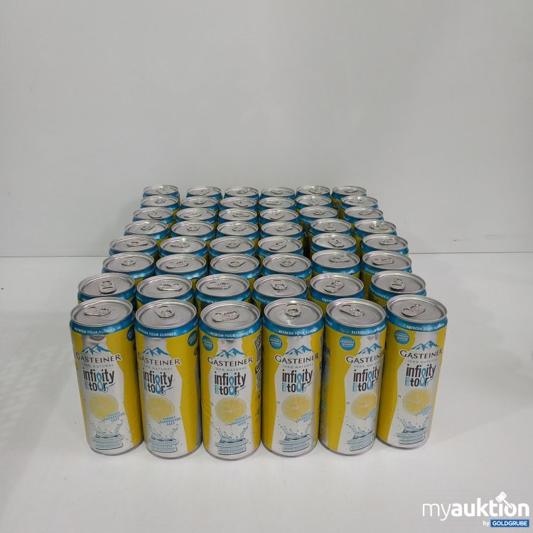 Artikel Nr. 814688: Gasteiner Infinity Tour 48x 330ml