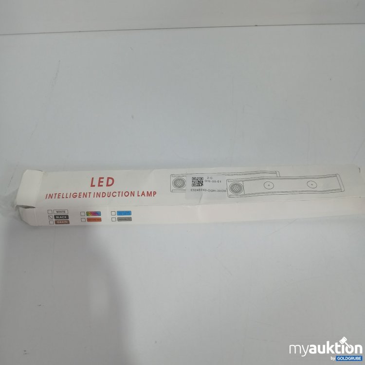 Artikel Nr. 827696 Artikel Nr. 827696: LED Intelligent Induction Lamp