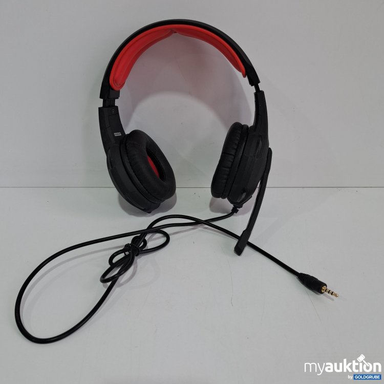 Artikel Nr. 361698 Artikel Nr. 361698: GXT 310 Headset 18120302298