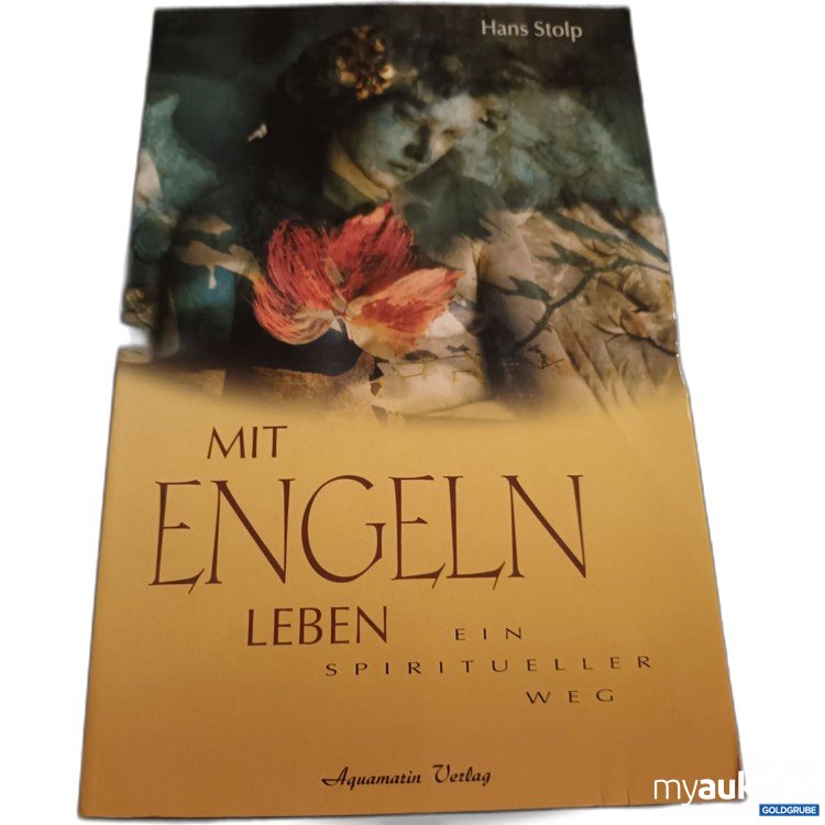 Artikel Nr. 907699: Mit Engel leben
