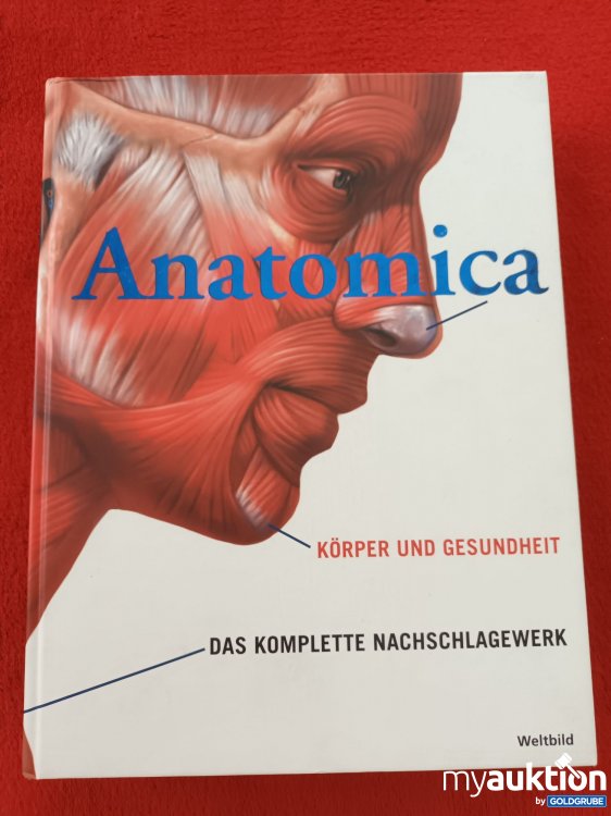 Artikel Nr. 937701 Artikel Nr. 937701: Anatomica