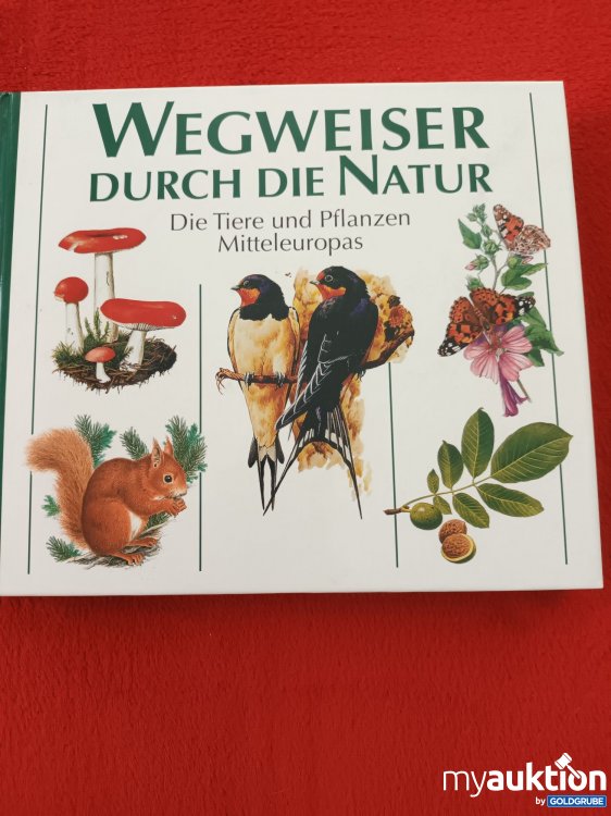 Artikel Nr. 937711: WEGWEISER durch die Natur