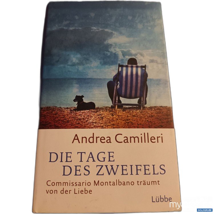 Artikel Nr. 907717: Die Tage des Zweifels