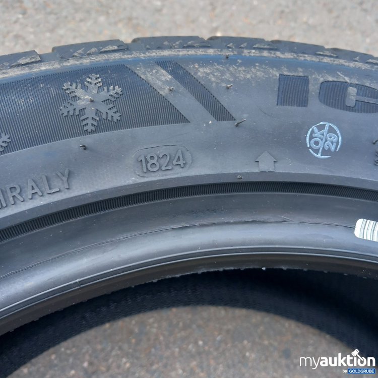Artikel Nr. 520719 Artikel Nr. 520719: Sailun Ice Blazer Alpine EV01, 245/45R 100V XL BSW