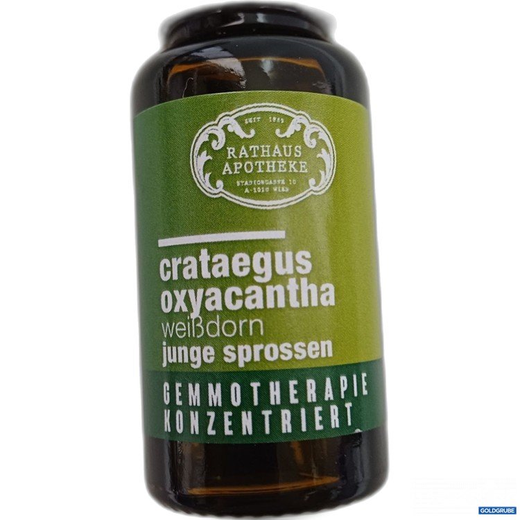 Artikel Nr. 989723 Artikel Nr. 989723: Rathaus Apotheke crataegus oxyacantha