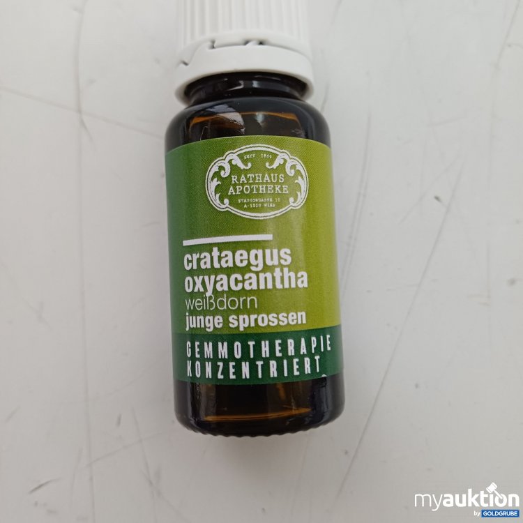 Artikel Nr. 989723 Artikel Nr. 989723: Rathaus Apotheke crataegus oxyacantha