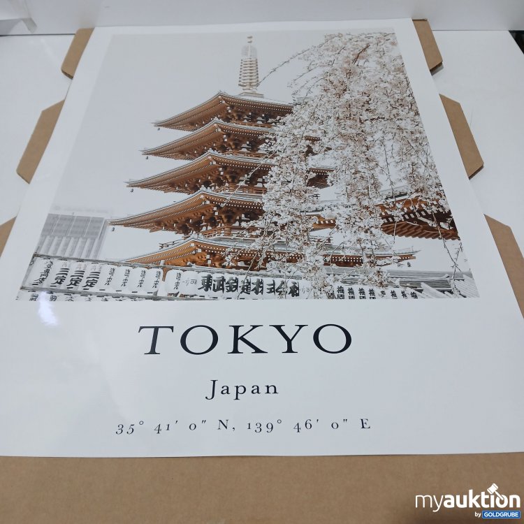 Artikel Nr. 954727: Bild TOKYO Japan 50x70cm S PL 15 1/2 