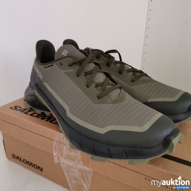 Artikel Nr. 811728 Artikel Nr. 811728: Salomon alphacross 5 gtx