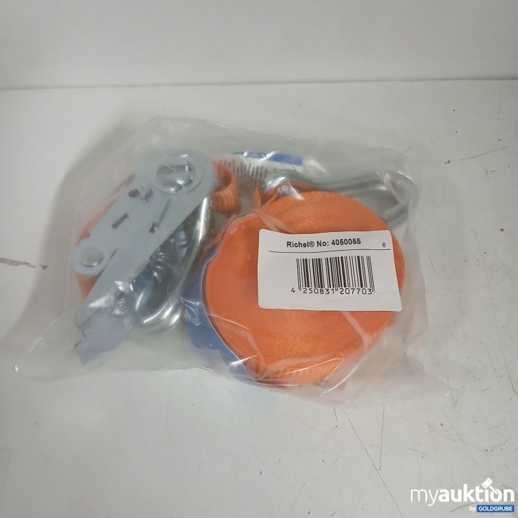 Artikel Nr. 875728: Richel Spanngurt 4050055