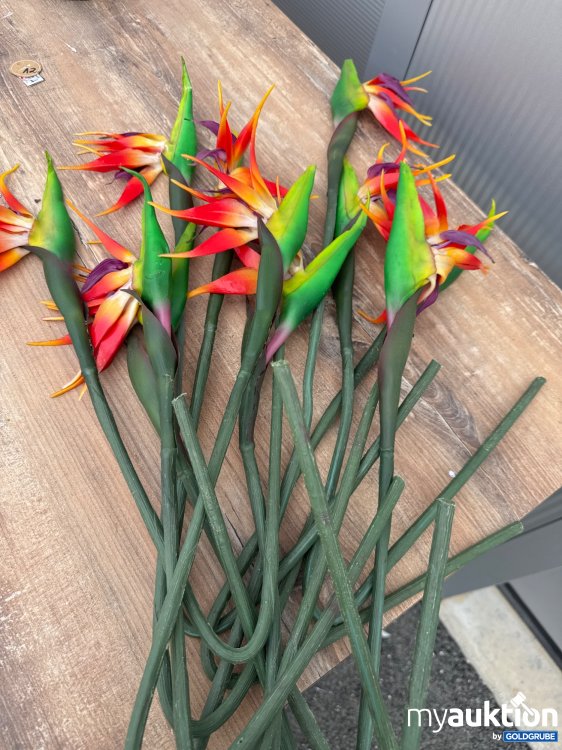 Artikel Nr. 934728 Artikel Nr. 934728: Seidenblumen Strelizie