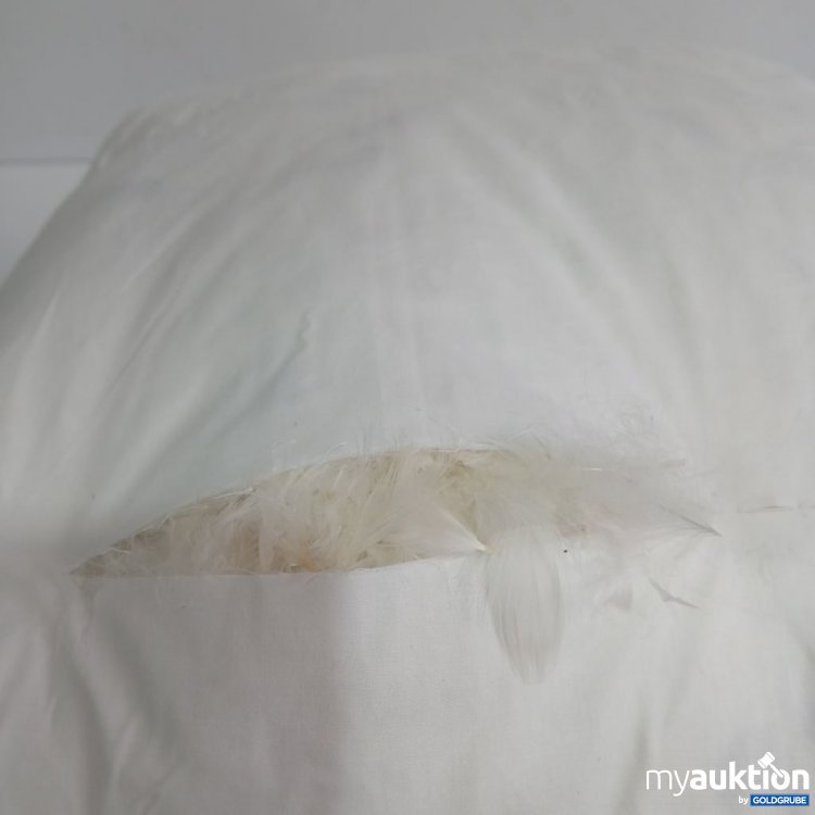 Artikel Nr. 963730: Daunendecke