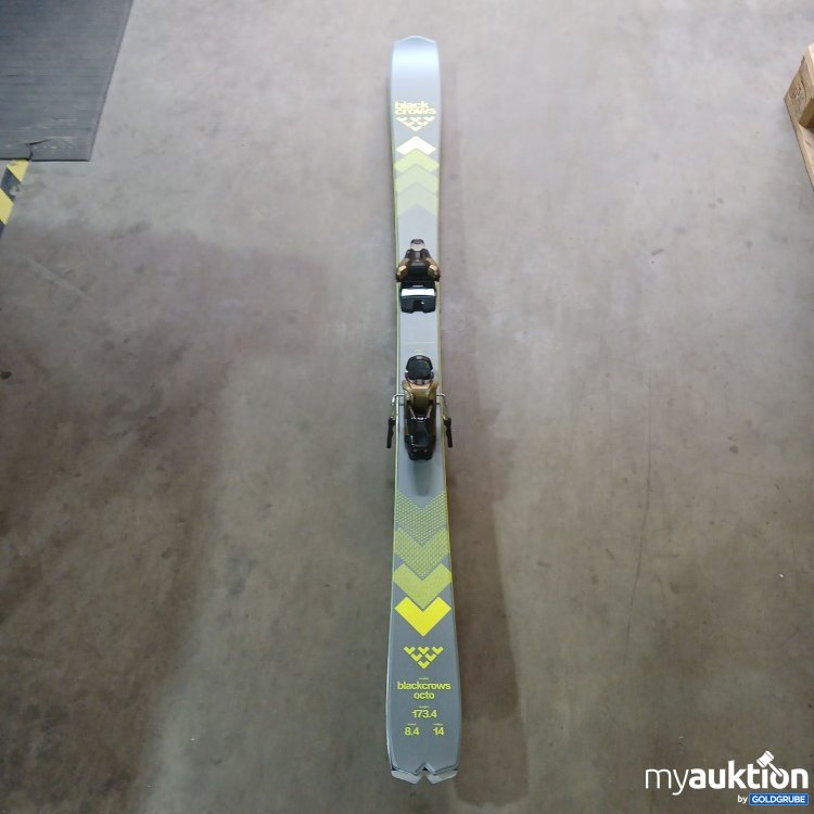 Artikel Nr. 978731: Blackcrows octo Sport Ski für Erwachsene 173.d4cm