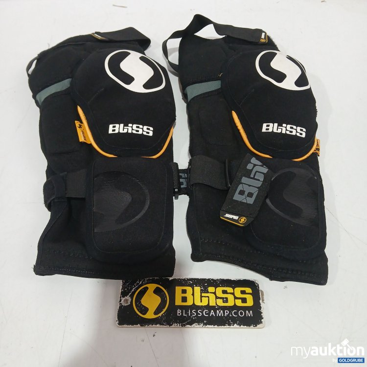 Artikel Nr. 523734 Artikel Nr. 523734: Blind Team Knee /Shin Pad